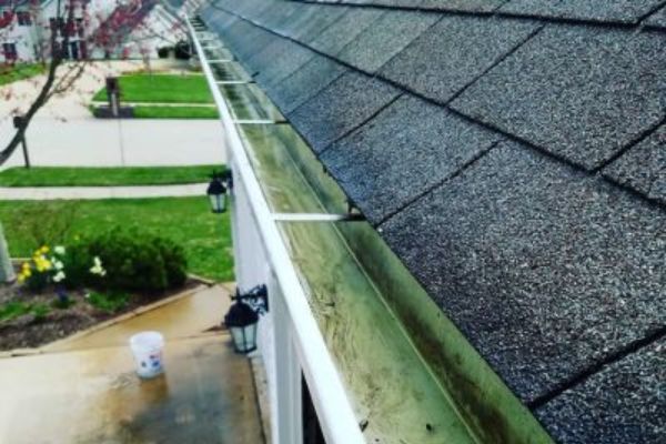Window cleaning near me