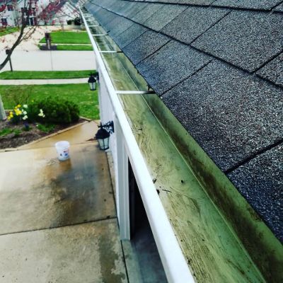 Professional roof cleaning florida