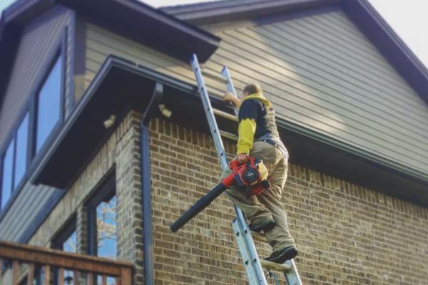 Professional Gutter Cleaning Services florida