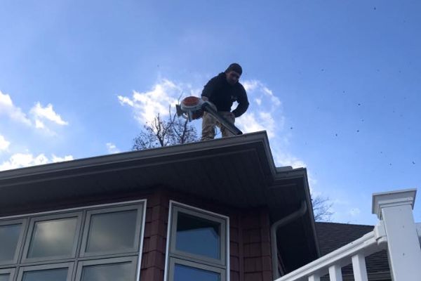 Commercial roof cleaning florida