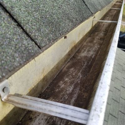 Professional roof cleaning florida