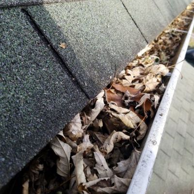 Professional roof cleaning florida