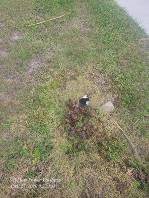 Jetting Underground Gutters For Debris Removal in Deltona FL